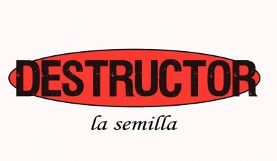 Destructor